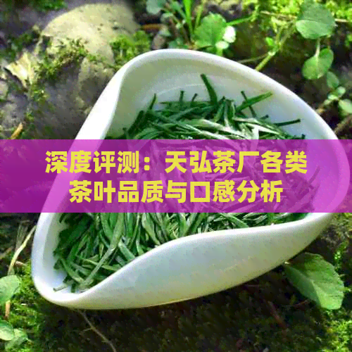 深度评测：天弘茶厂各类茶叶品质与口感分析(图1)