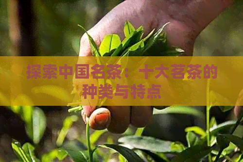 泛亚电竞探索中国名茶：十大茗茶的种类与特点(图1)